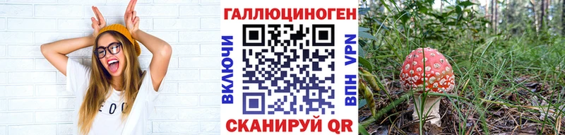 Псилоцибиновые грибы MAGIC MUSHROOMS  Губаха 